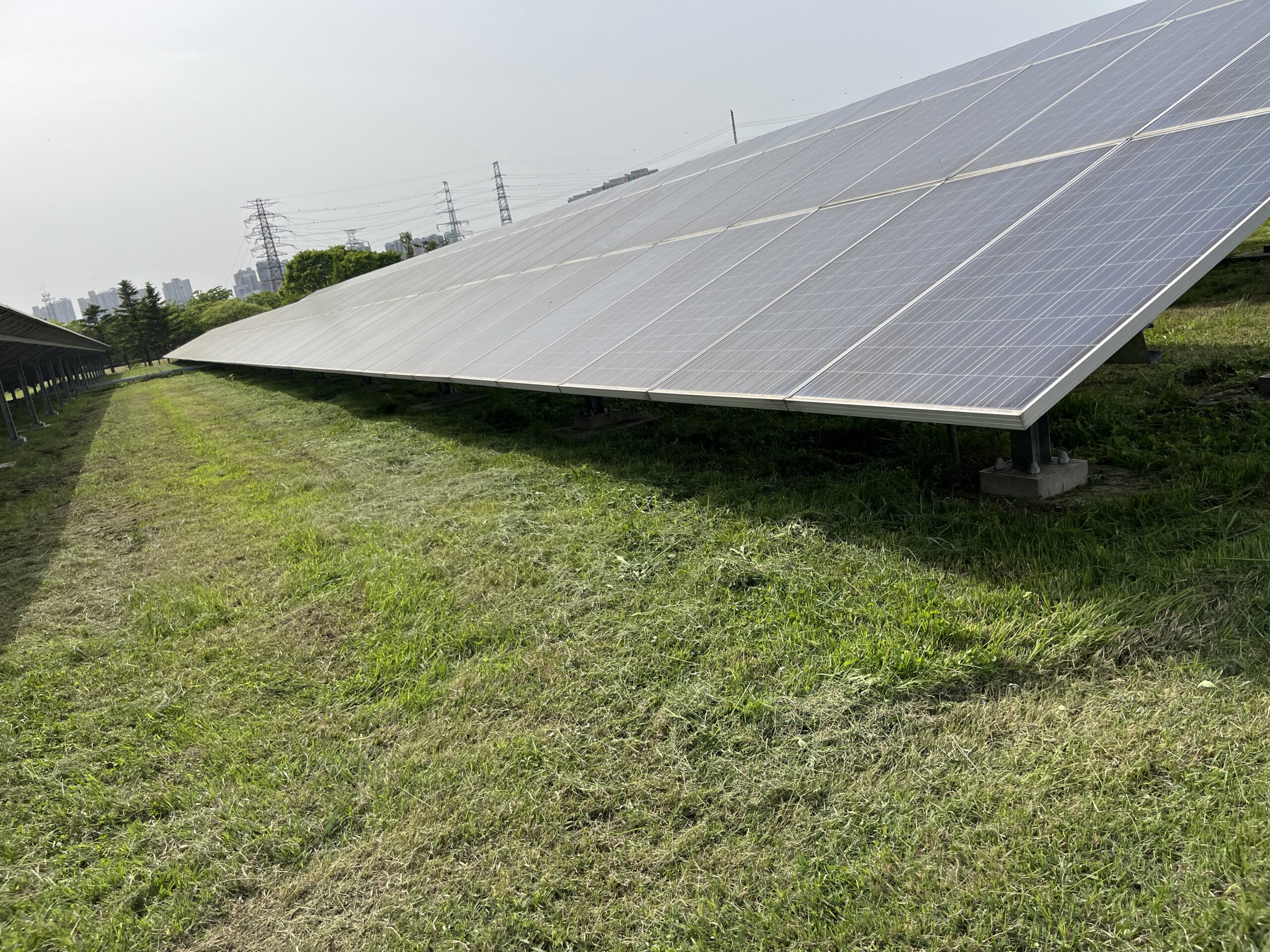 태양광 예초 서비스